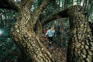 BIB: 
                            <button type="button" onclick="openModal(25392629)" class="btn btn-primary btn-sm float-right btn-popup" data-toggle="modal" data-target=".modal-high-quality">
                        <i class="fas fa-shopping-cart"></i> Add to Cart
                    </button>
                                            <button type="button" onclick="isThisMe(25392629, true)" class="btn btn-success btn-sm float-right btn-popup btn-isme hidden" data-toggle="tooltip" data-placement="bottom" title="นี่คือรูปของคุณใช่ไหม คลิกที่นี่เพื่อเอาเข้าอัลบั้ม">
                        <i class="fas fa-plus"></i> Add to album
                    </button>
                    <button type="button" onclick="isThisMe(25392629, false)" class="btn btn-warning btn-sm float-right btn-popup btn-isnotme hidden">
                        <i class="fas fa-ban"></i> Remove from album
                    </button>